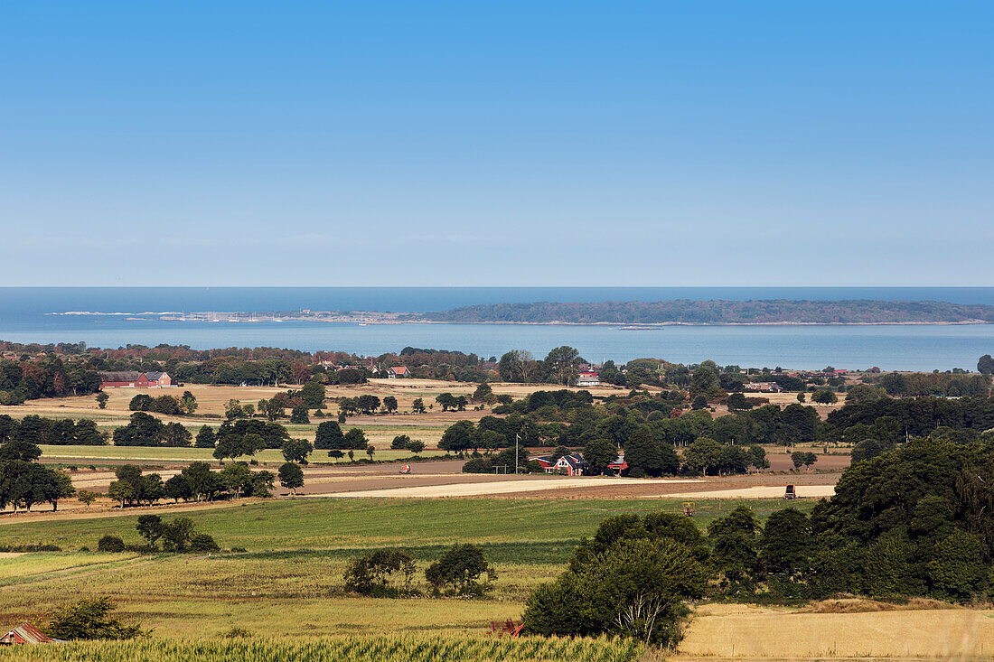 Coastal landscape