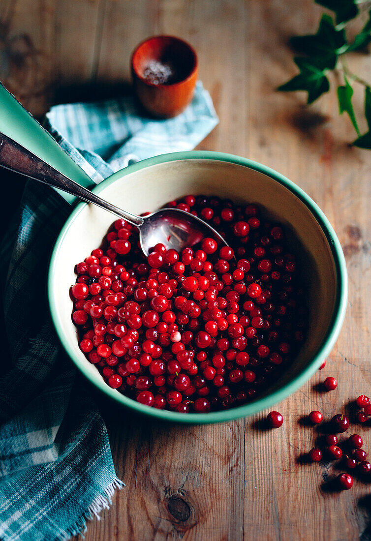 Redcurrants in pot