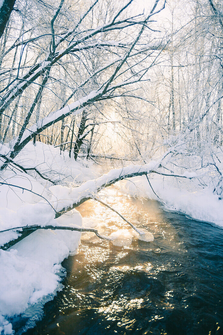 River at winter