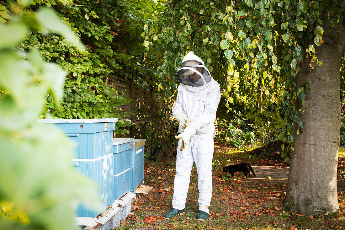 Imker bei Bienenstöcken