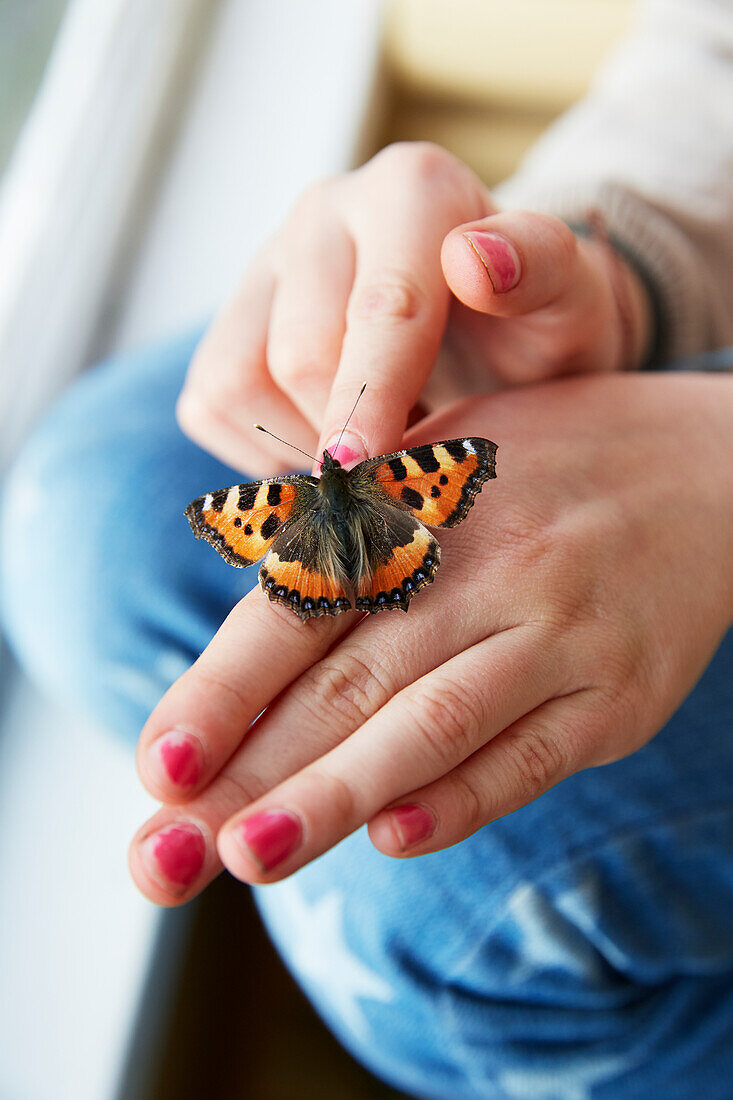 Butterfly on hand