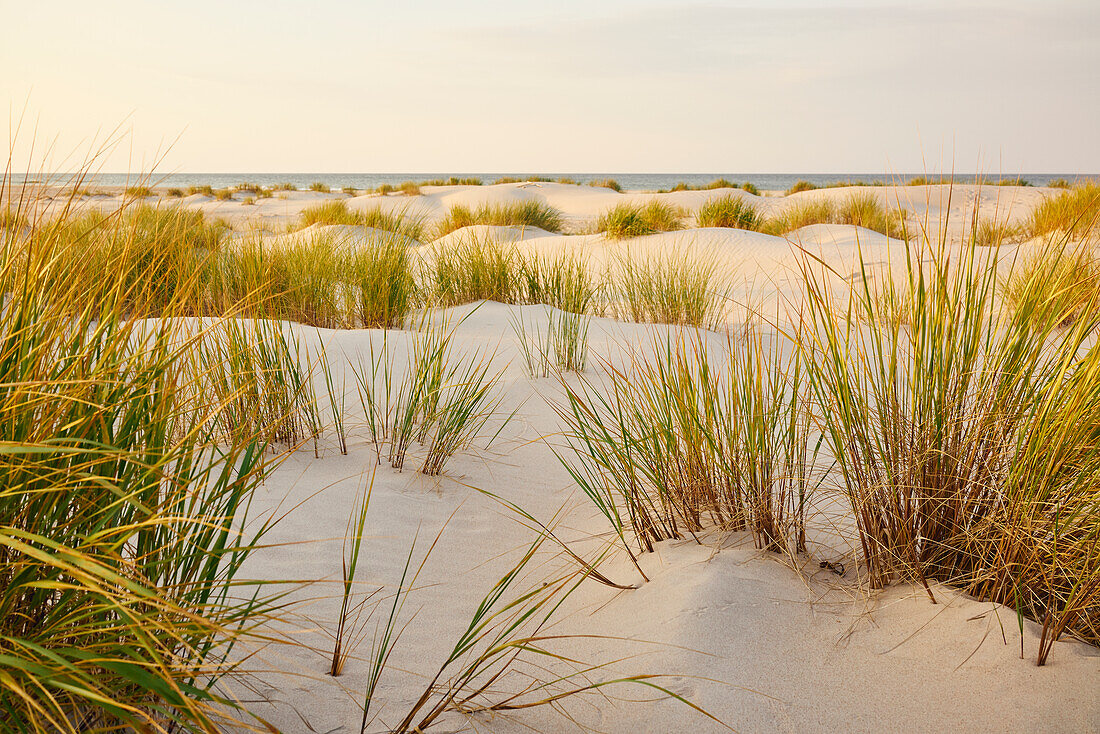 Sand dunes