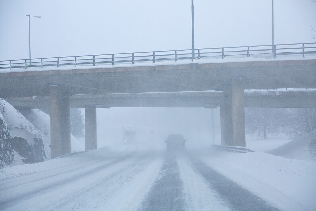 Road at winter