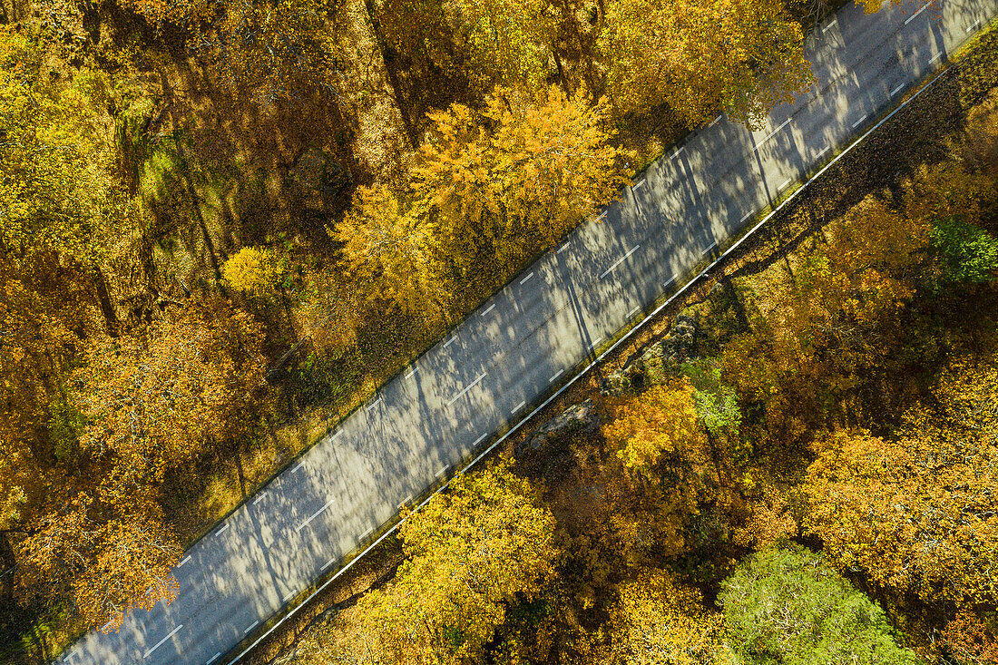 Luftaufnahme einer Straße durch den Wald