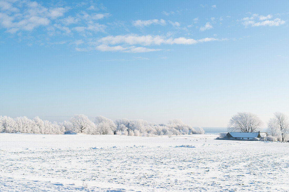 Winter landscape