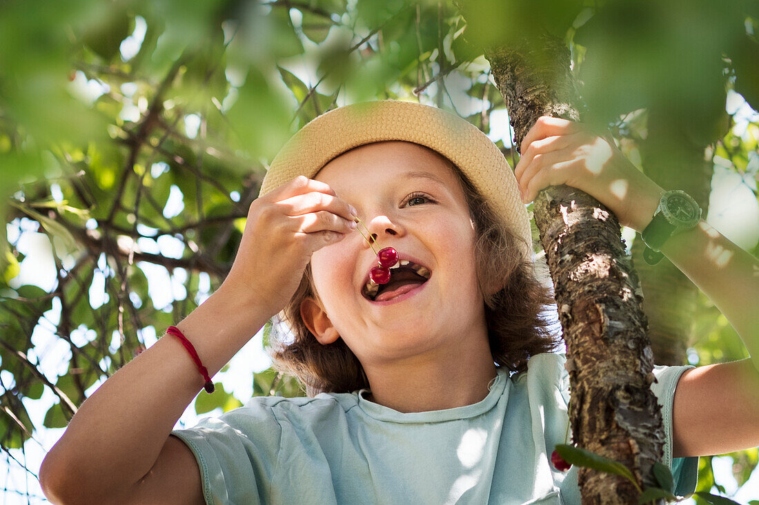 Mädchen isst Kirschen an einem Baum