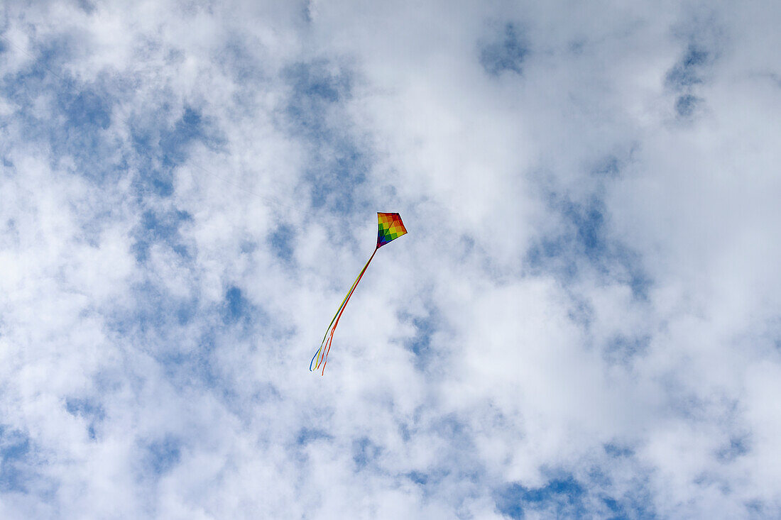 Kite on sky