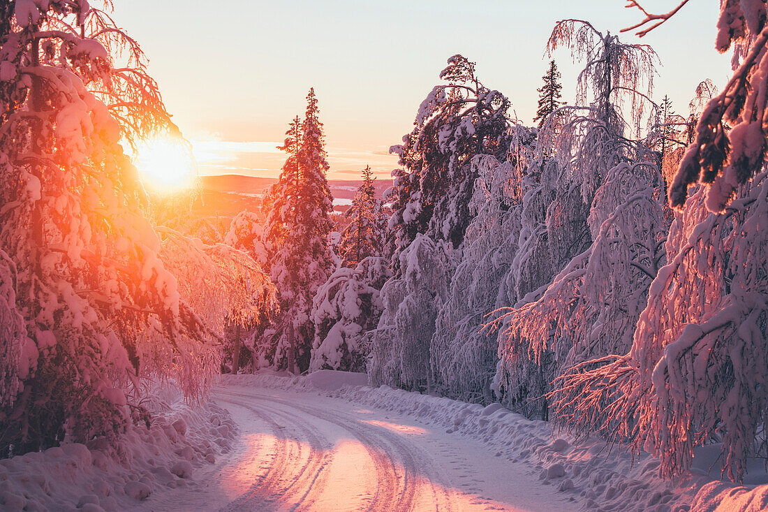 Winter road at sunset