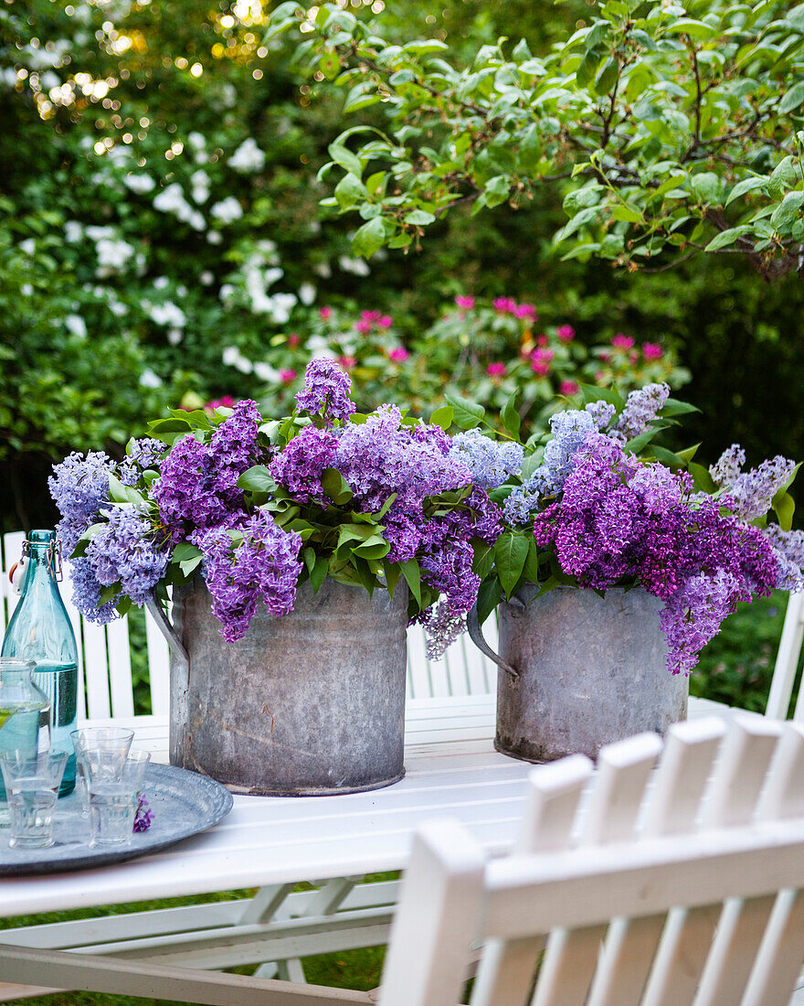 Lilac flowers on garden table