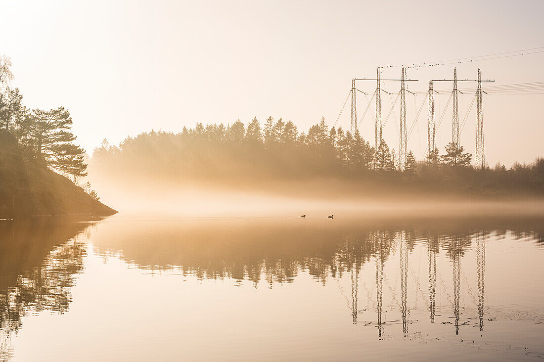 Foggy landscape