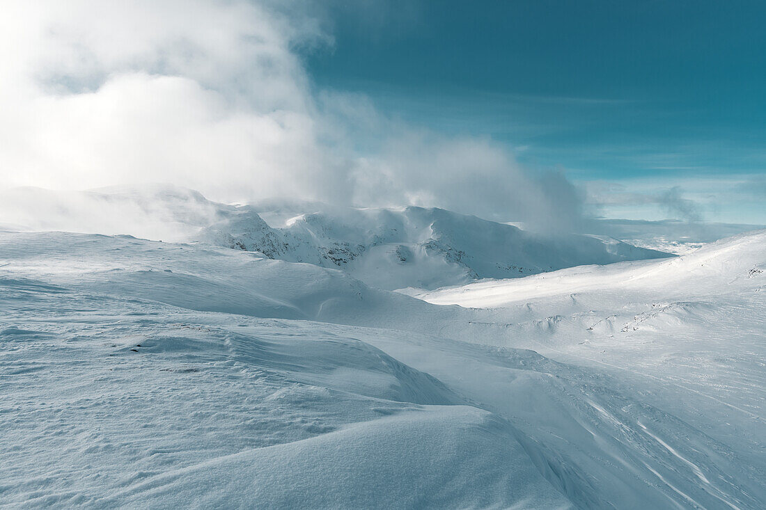 Winter landscape