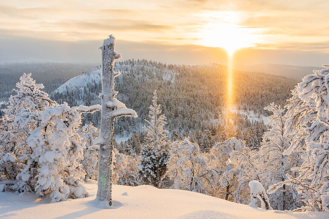 Winter landscape