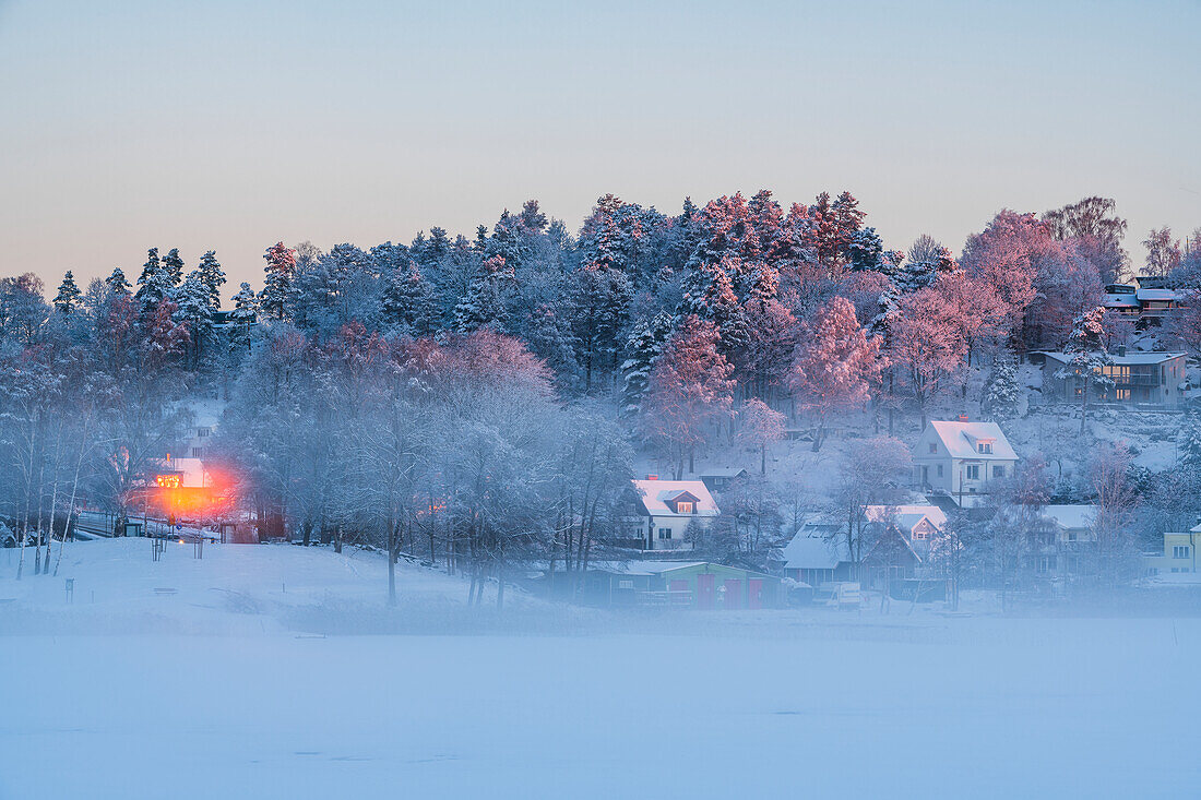 Foggy winter landscape