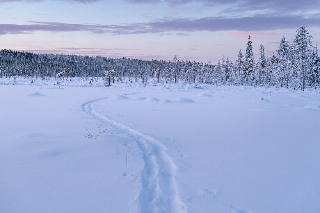 Winter landscape at sunset