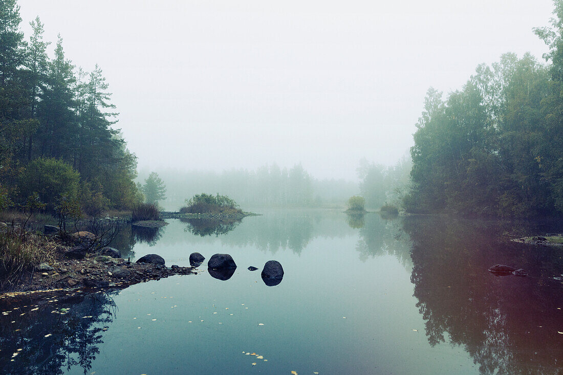 Foggy lake