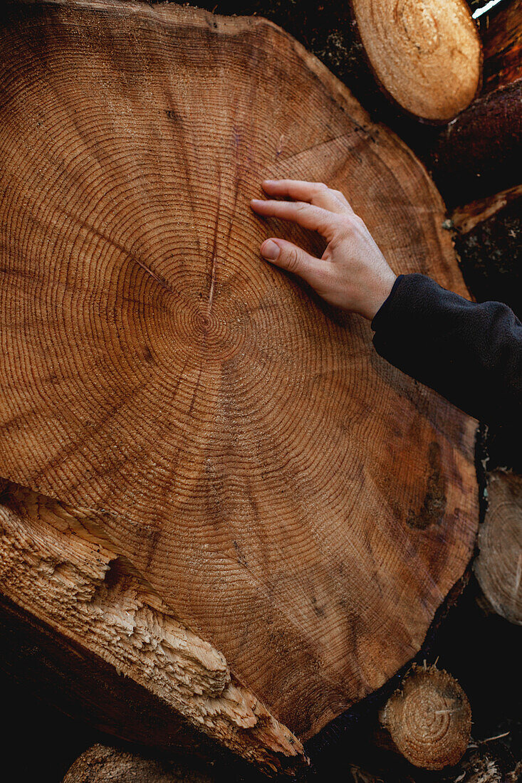 Hand on log