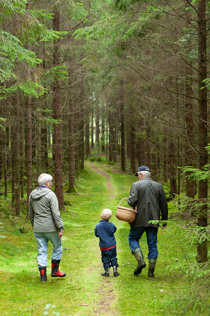 Großeltern mit Enkelsohn im Wald