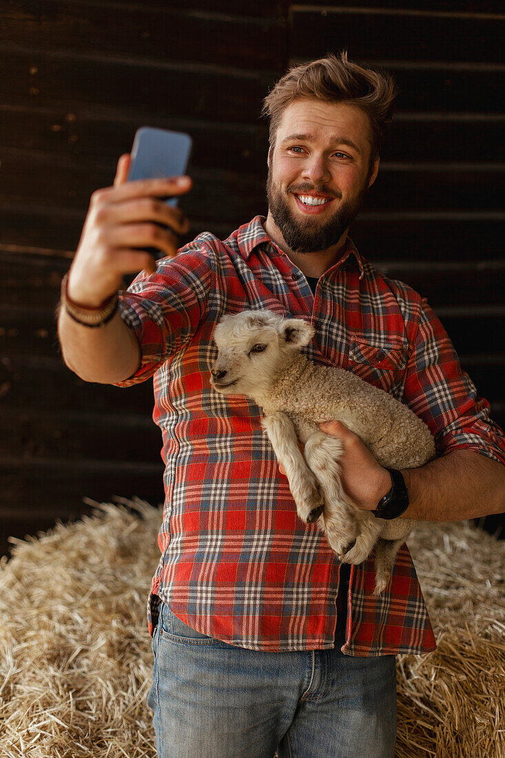 Farmer holding lamb and taking selfie