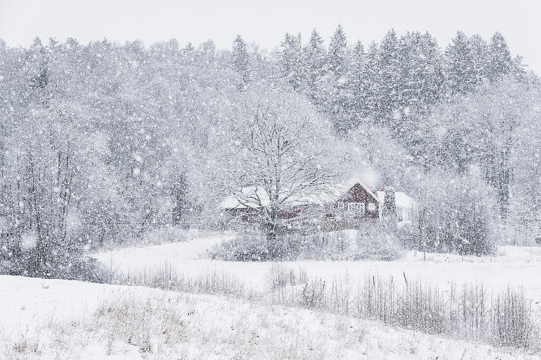 Haus im Winter