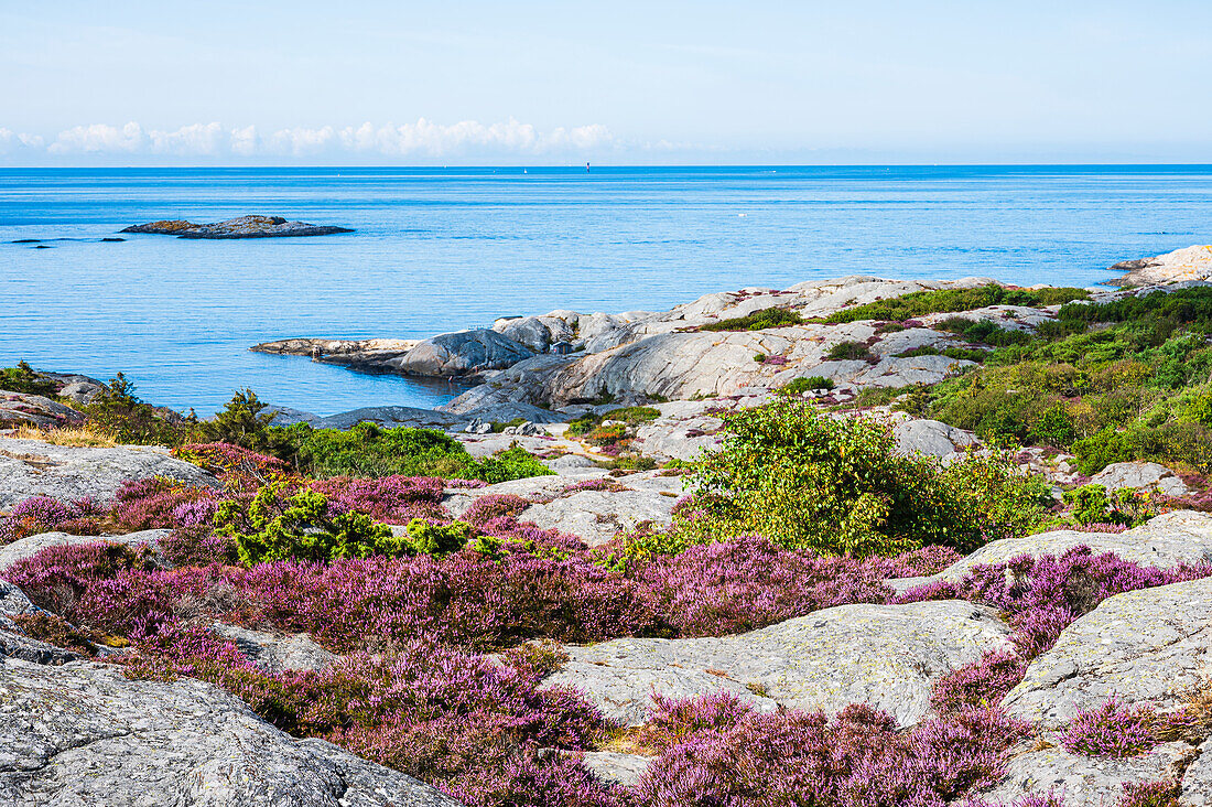 Rocky coast