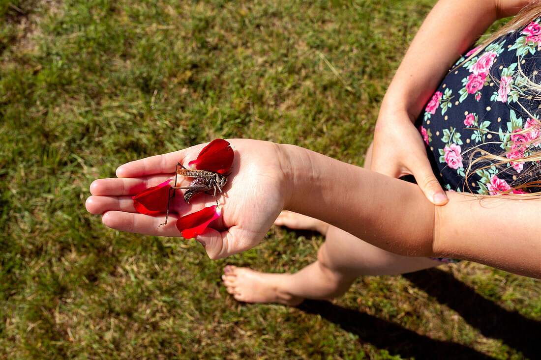 Grashüpfer auf Mädchenhand