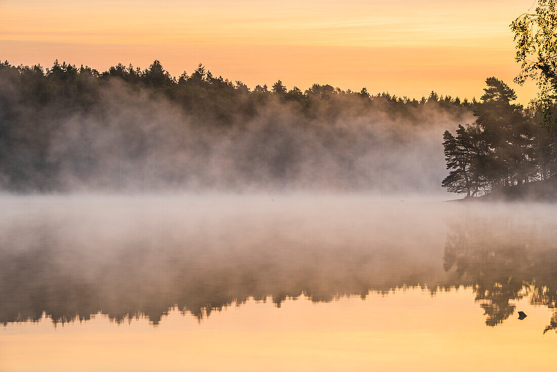 Blick auf einen nebligen See bei Sonnenuntergang