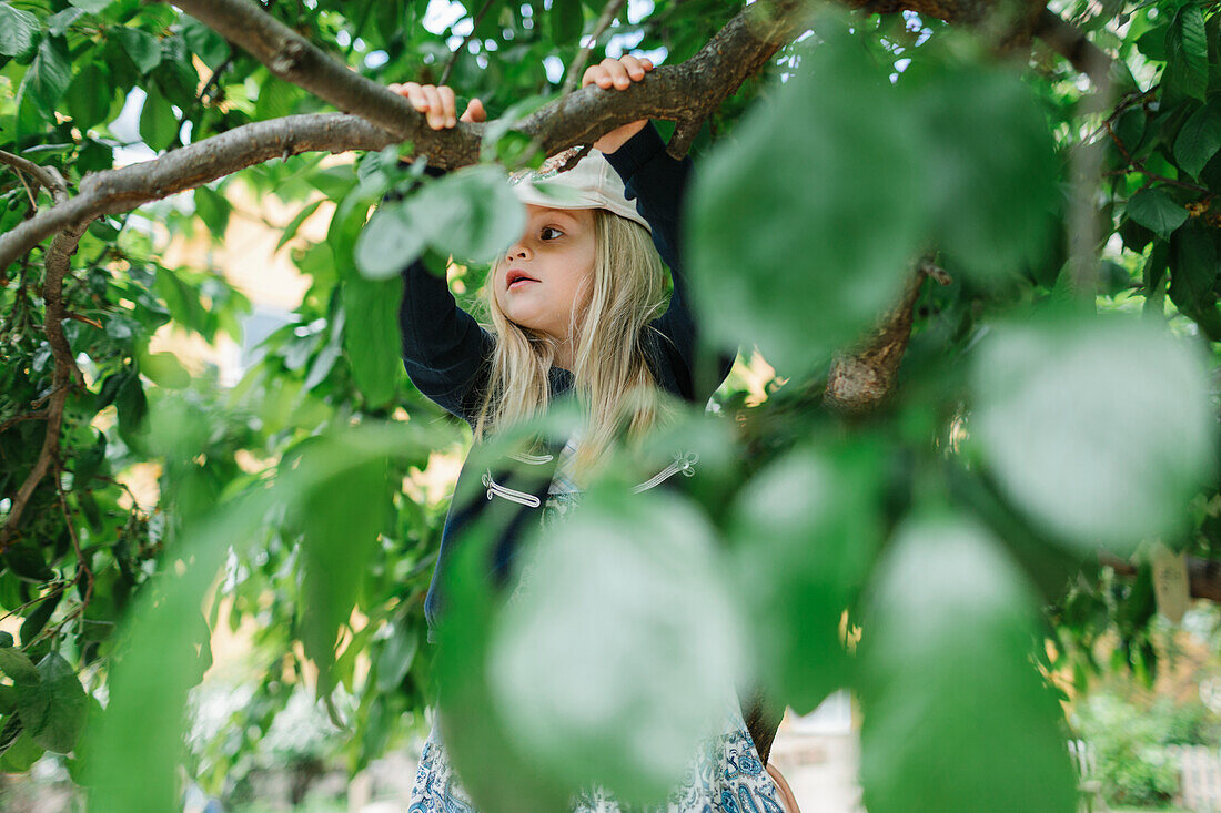 Mädchen klettert auf Baum