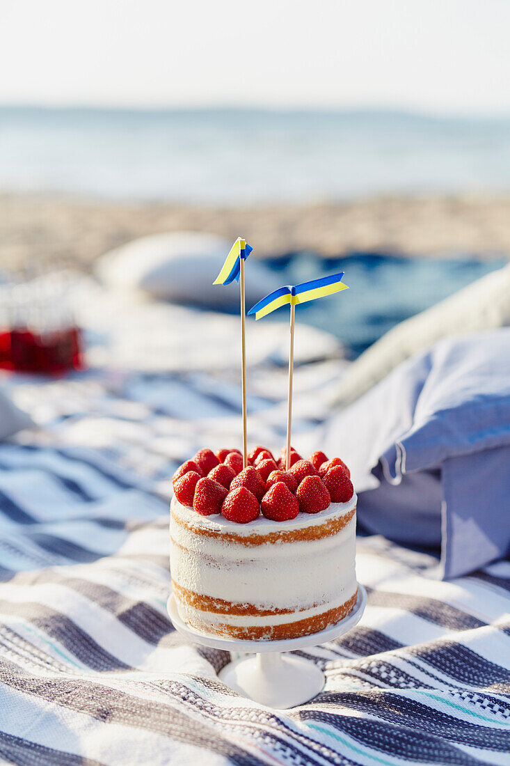 Strawberry cake on beach towels