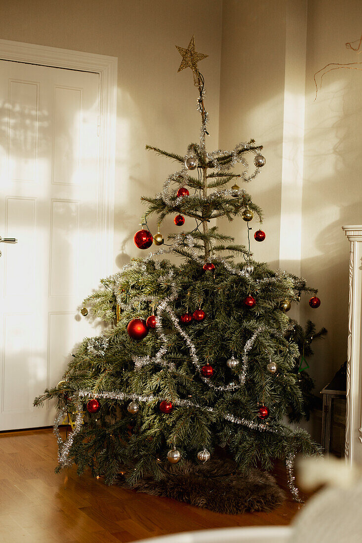 View of Christmas tree