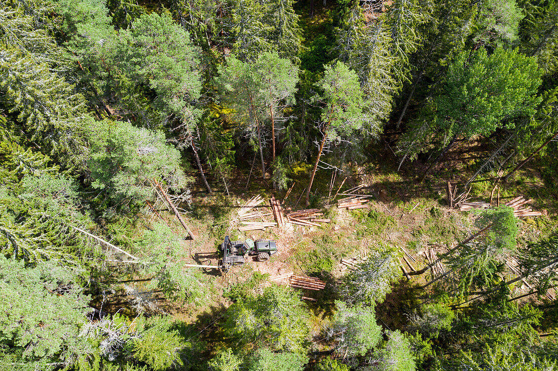Aerial view of cut forest