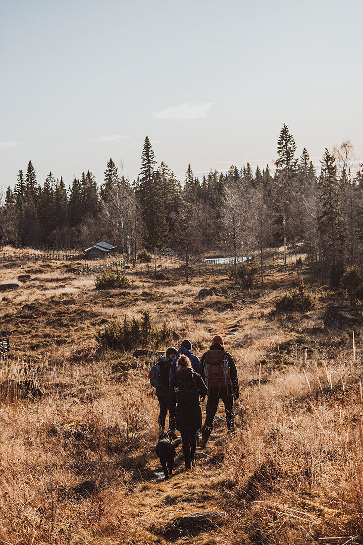 Rear view of hikers