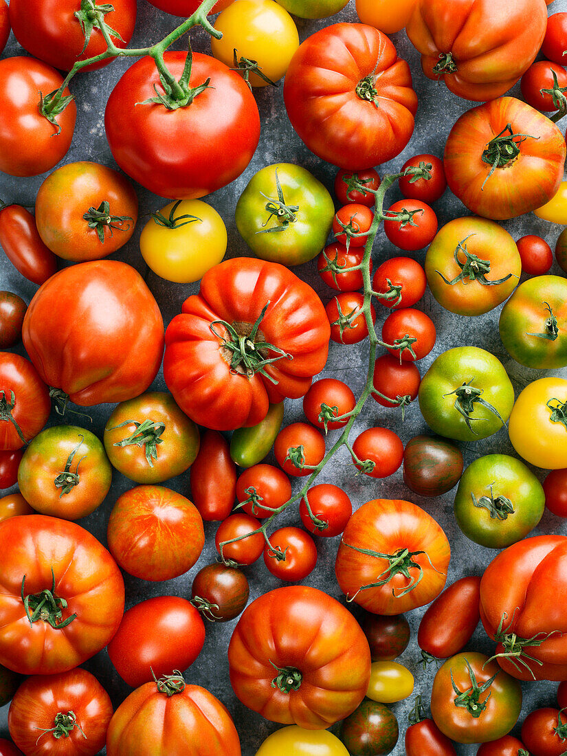 Blick auf bunte Tomaten