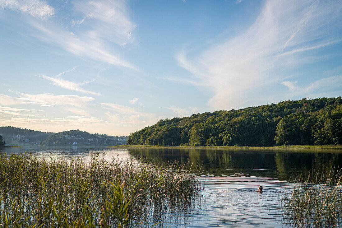 Blick auf den See im Sommer