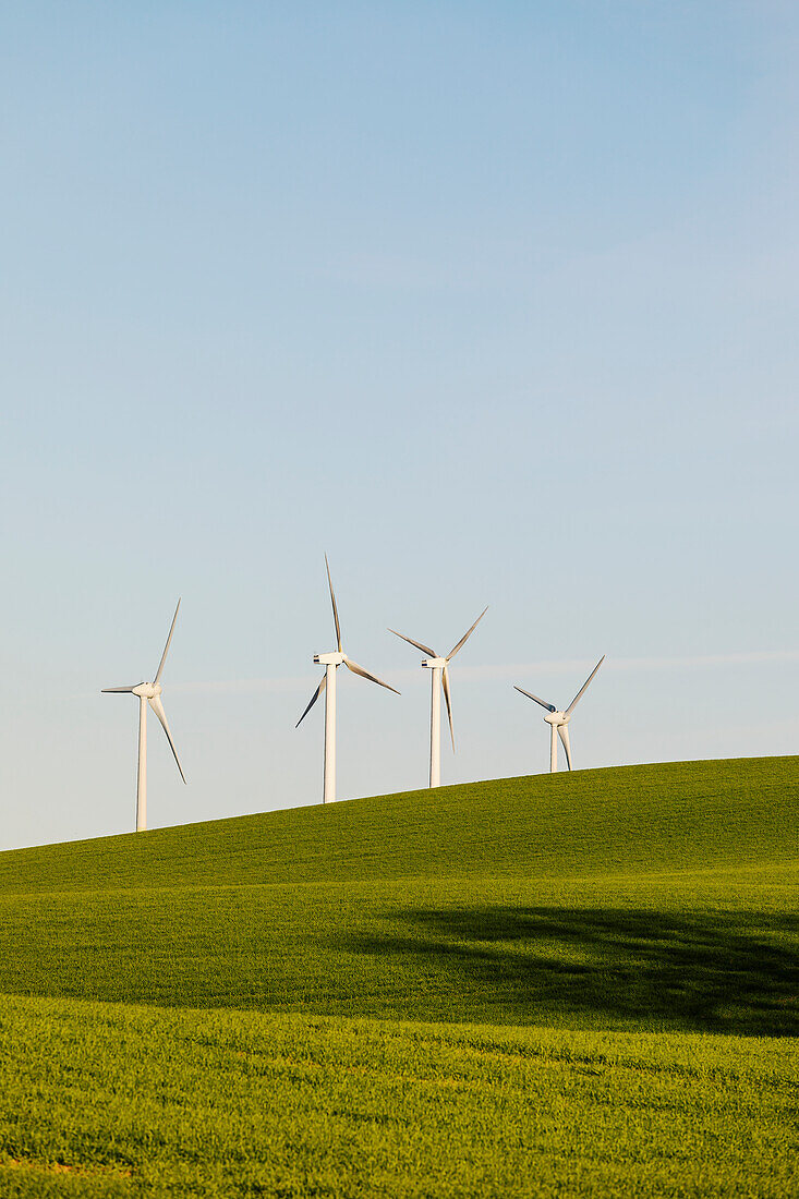 Windturbinen auf der grünen Wiese