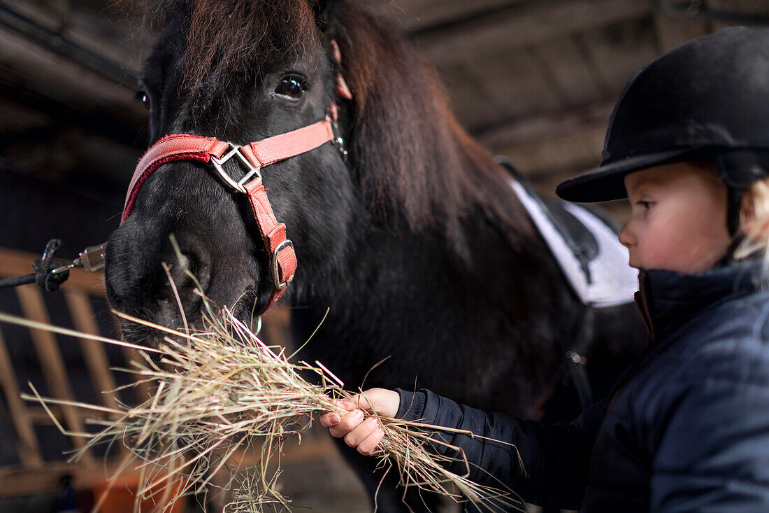 Girl feeding pony in stable