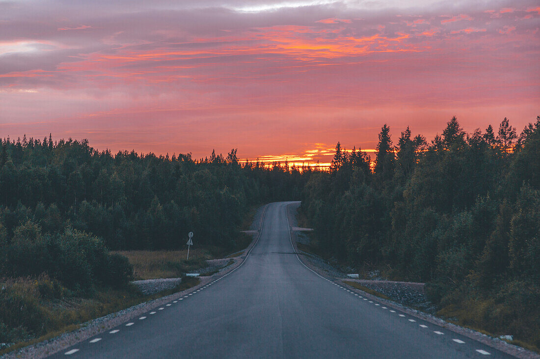 Straße im Wald bei Sonnenuntergang