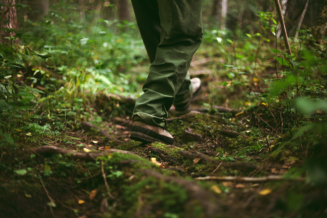 Low section of person walking through forest