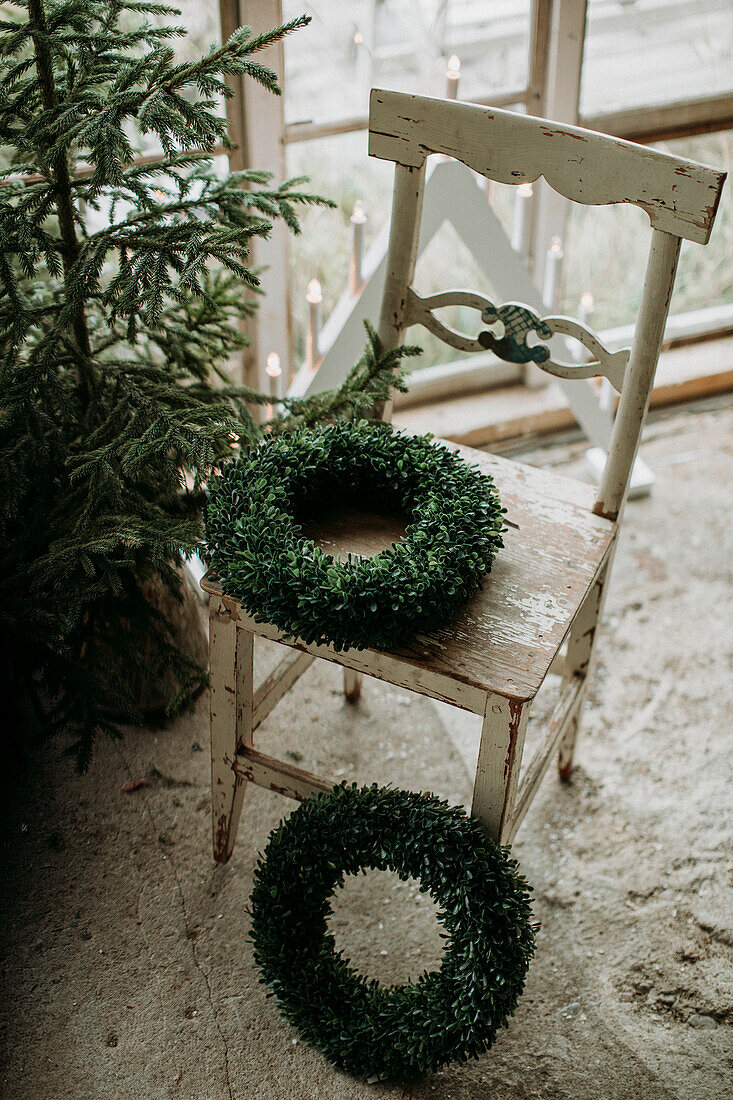 Weihnachtsbaum und Kränze auf altem Stuhl