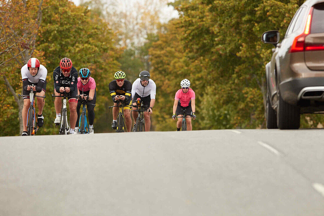 Cyclists on country road