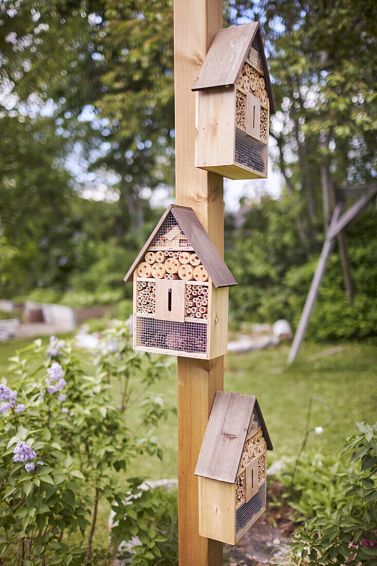 Insektenhotels auf Holzpfahl