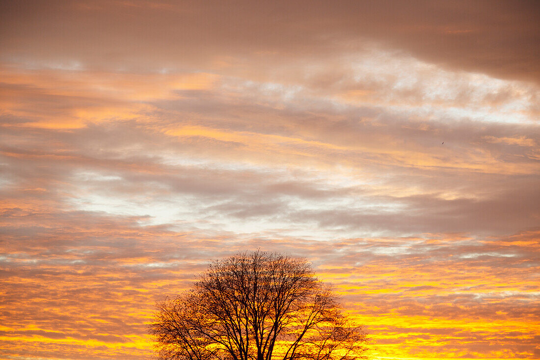 Blick auf den Himmel bei Sonnenuntergang