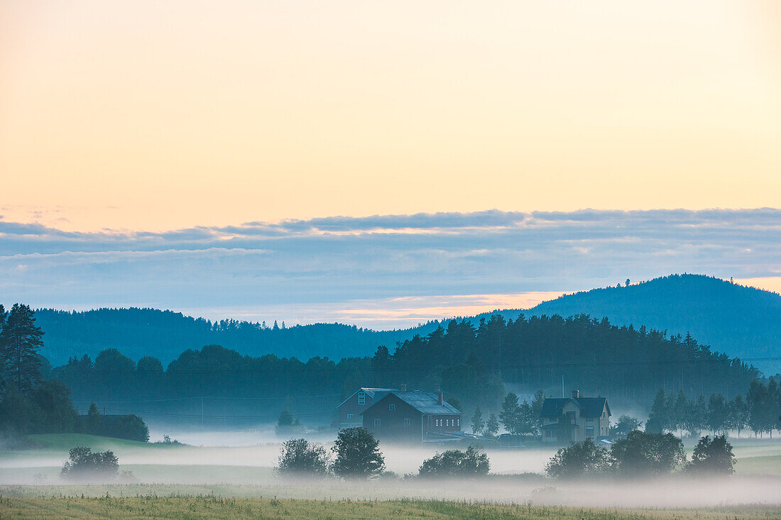 Nature landscape