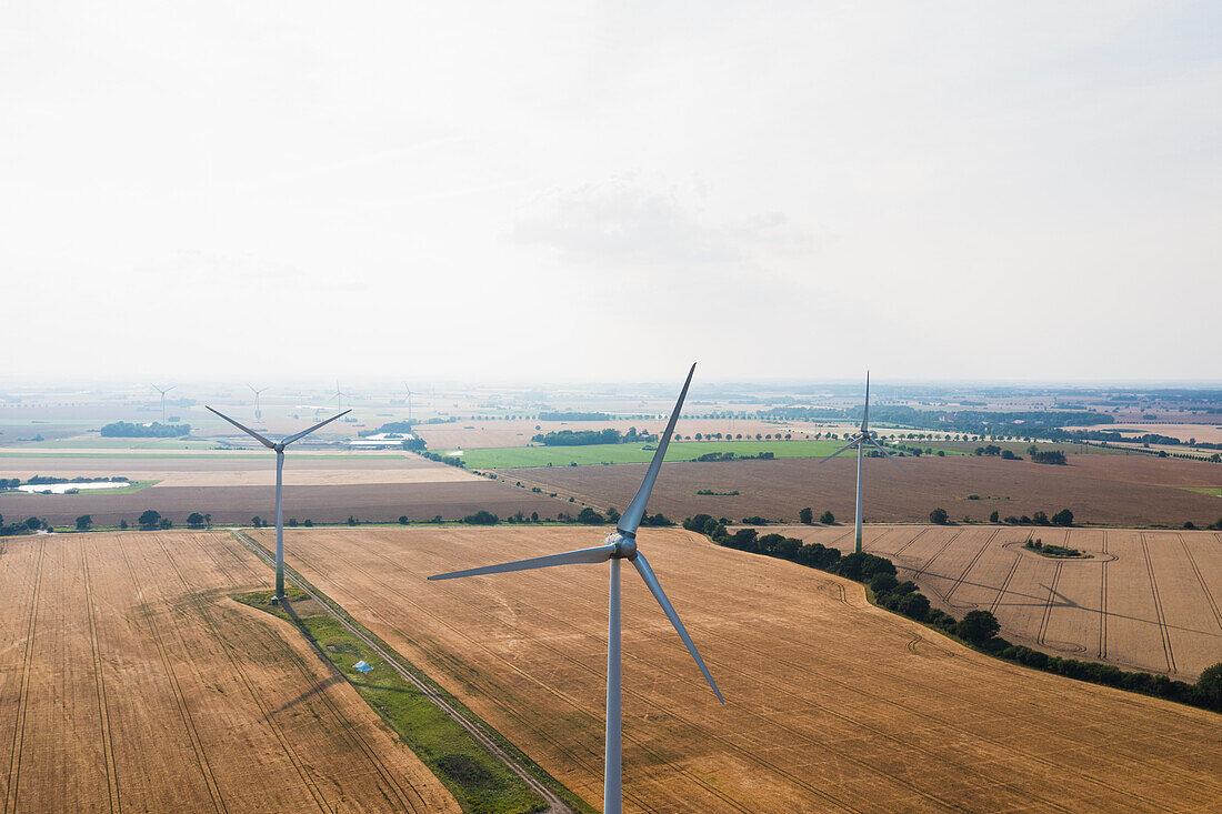 Wind turbines at field