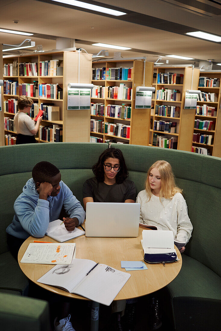 Schüler lernen gemeinsam in der Bibliothek