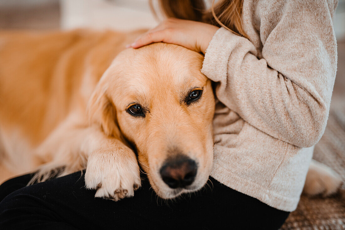 Mädchenhand streichelt Hund