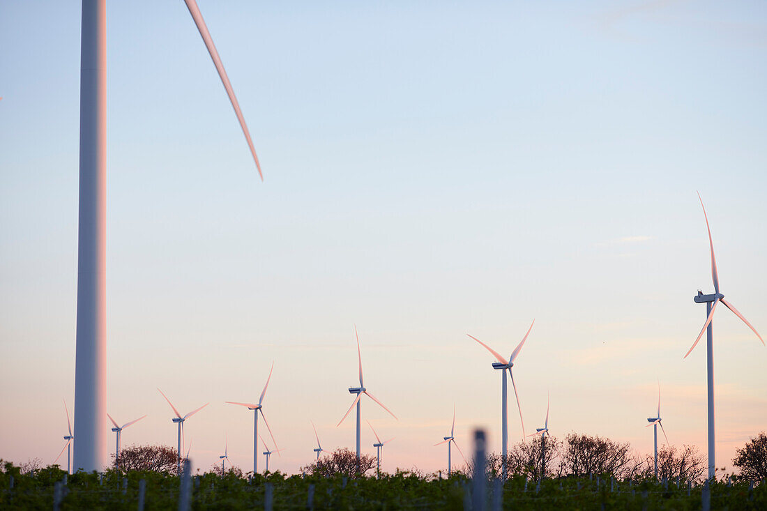 View of wind turbines at sunset