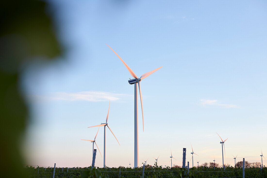 View of wind turbines at sunset