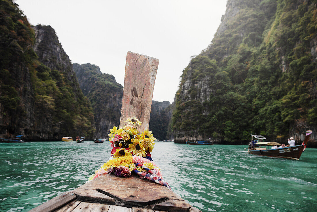 Flowers on boat's bow in canyon