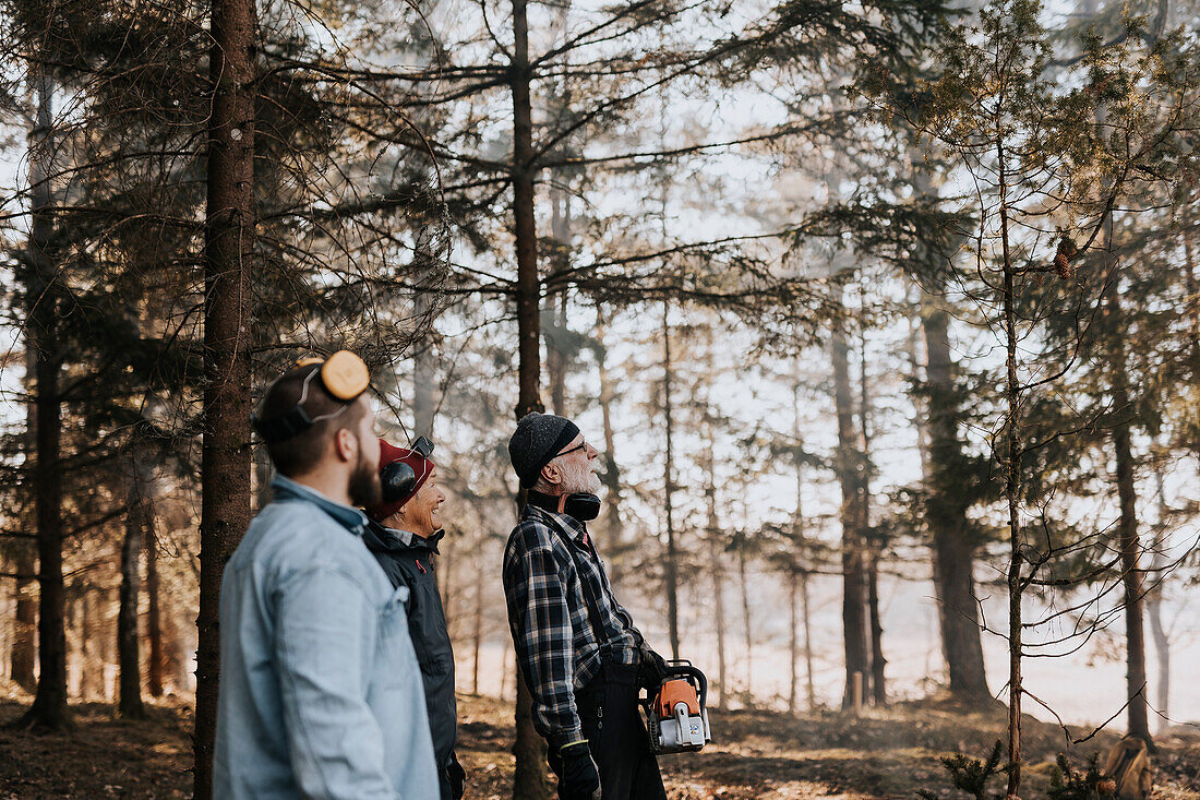 Menschen im Wald schauen weg