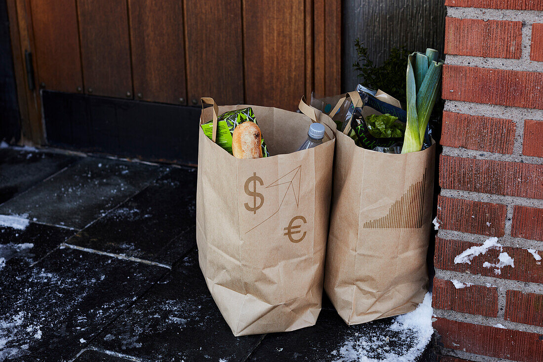 Paper bags full of groceries